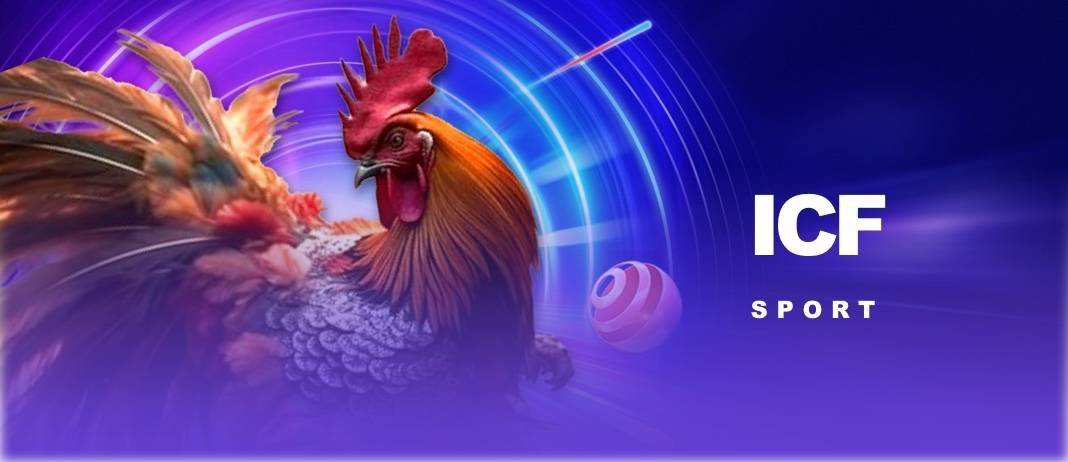 ไก่ชน 4K ถ่ายทอดสด คืออะไร?